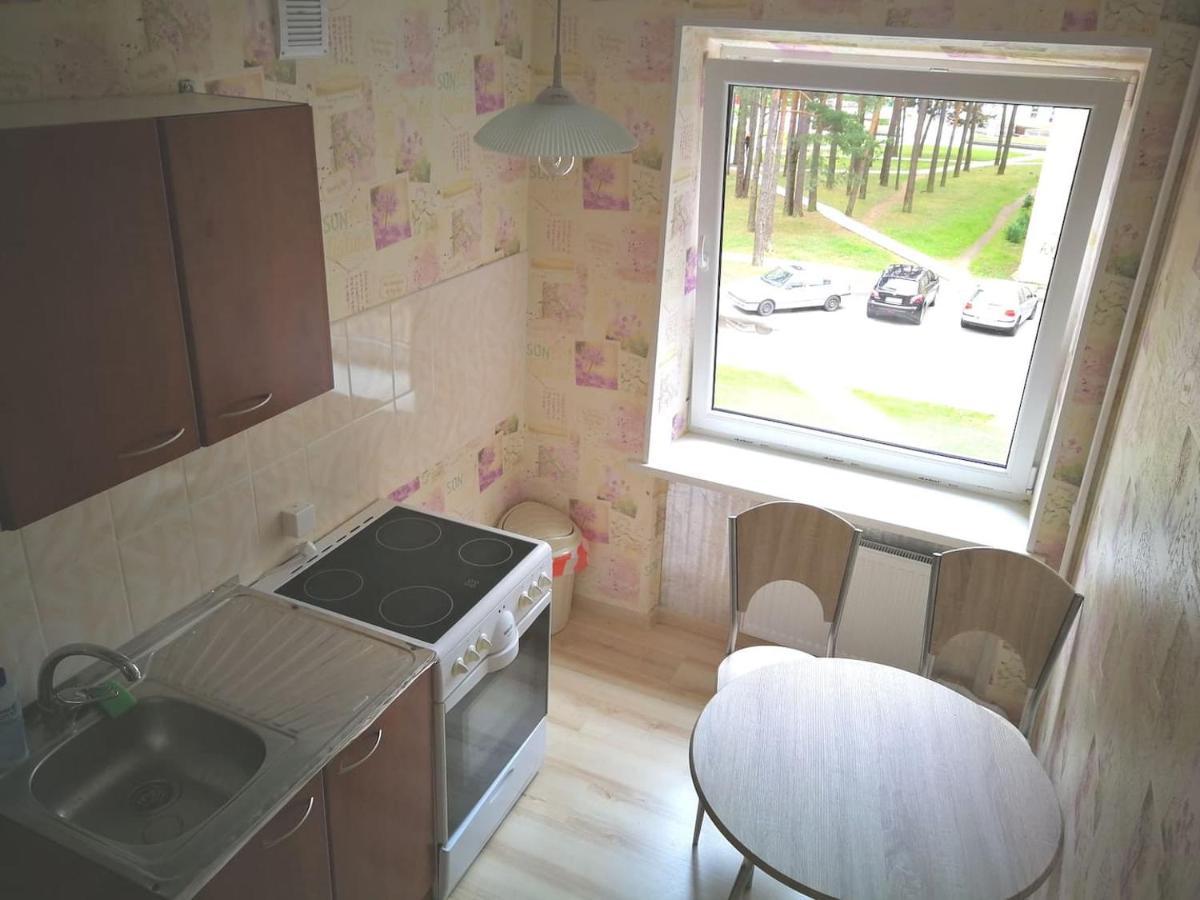 Light One Room Apartment Visaginas Ngoại thất bức ảnh