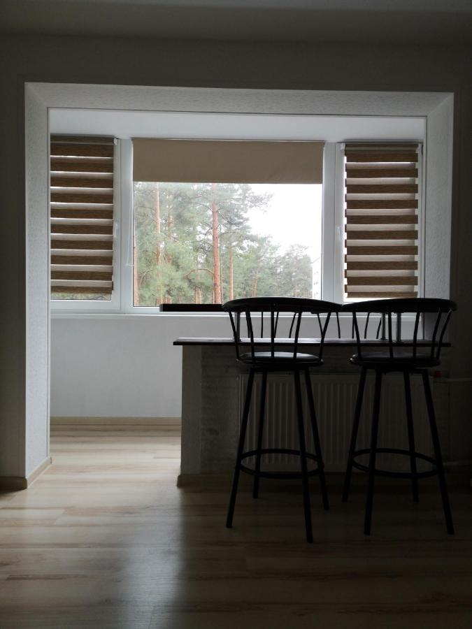 Light One Room Apartment Visaginas Ngoại thất bức ảnh
